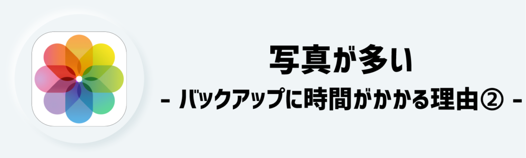 理由②：写真が多い